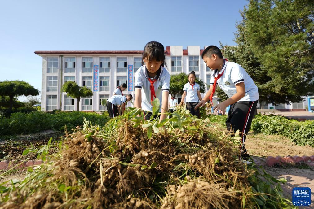 dafa娱乐黄金版官方免费